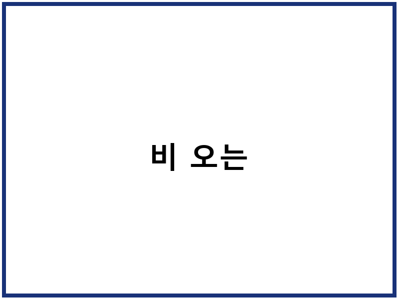 비 오는