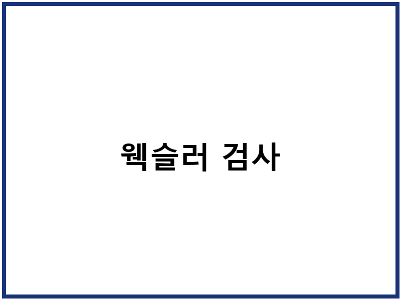 웩슬러 검사
